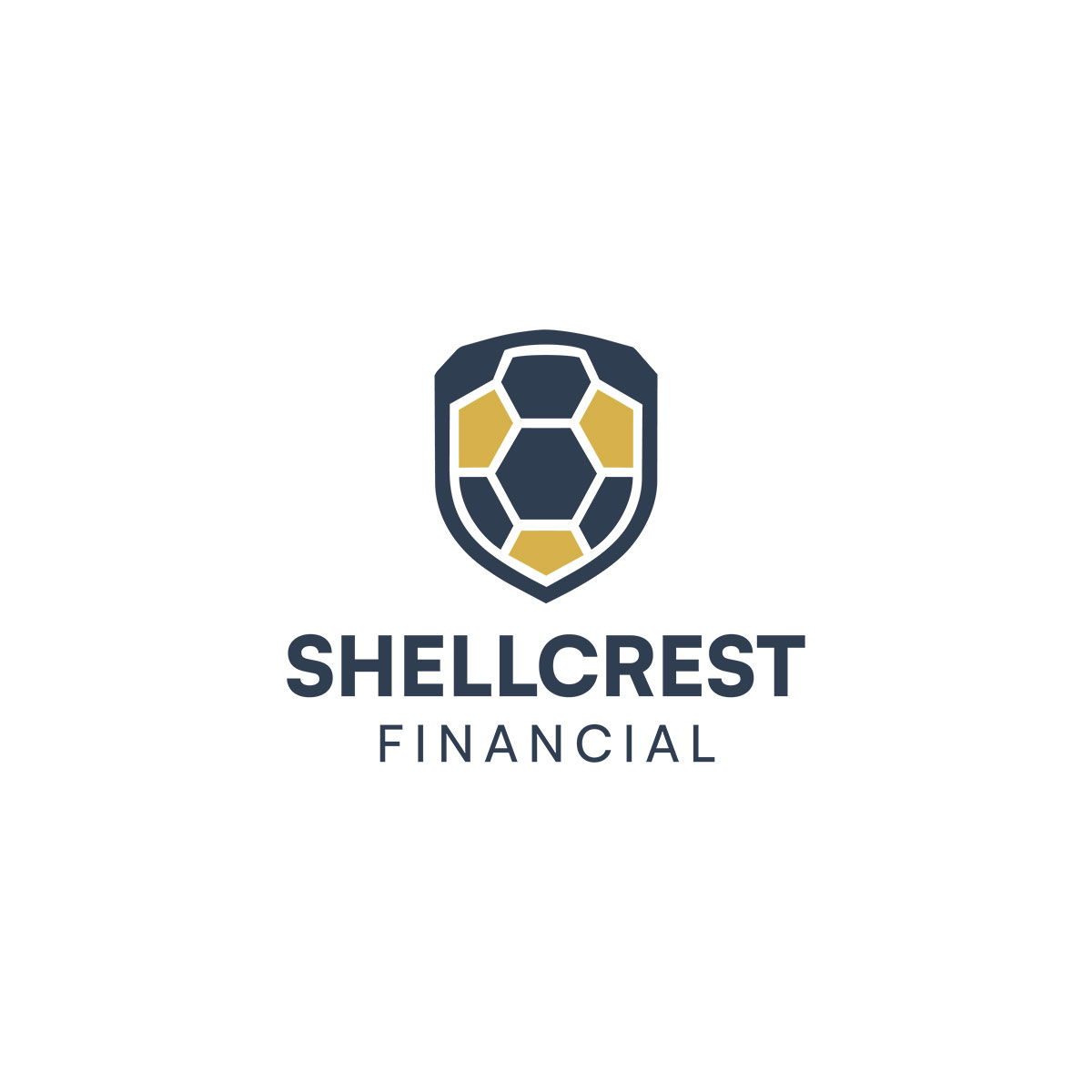 Financial company logo